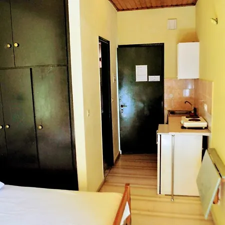 Comfy Hostel
